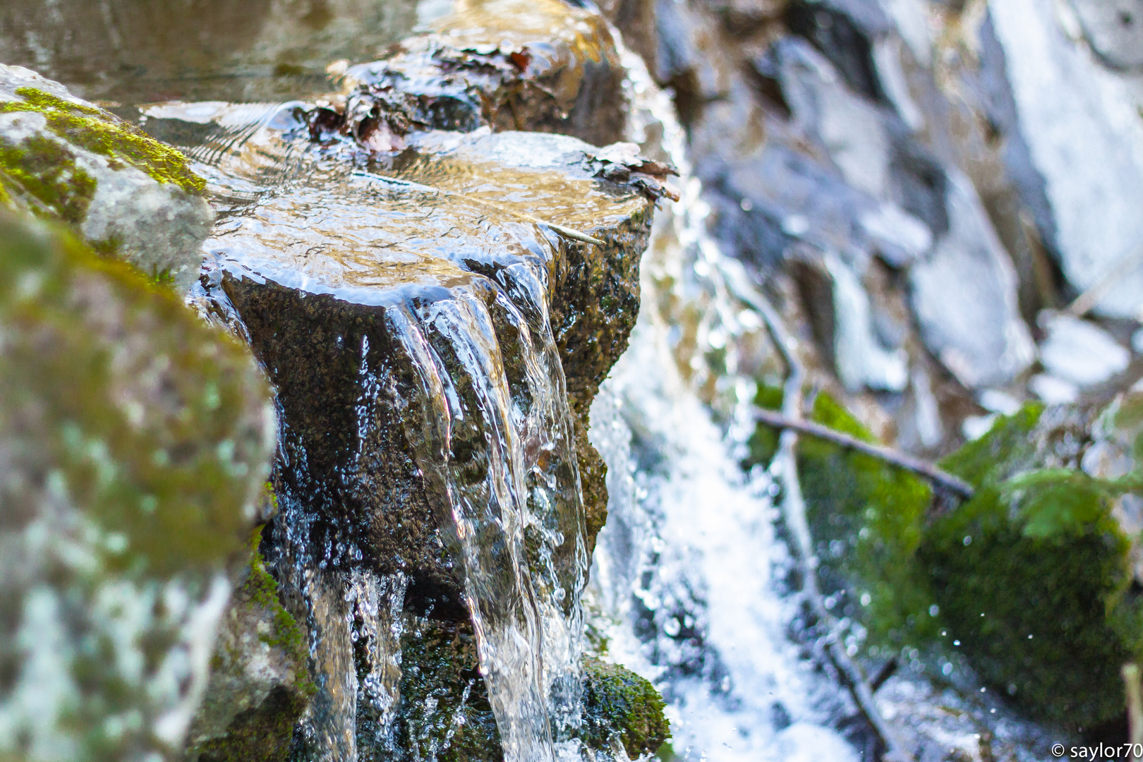 Wasser das Elixier des Lebens