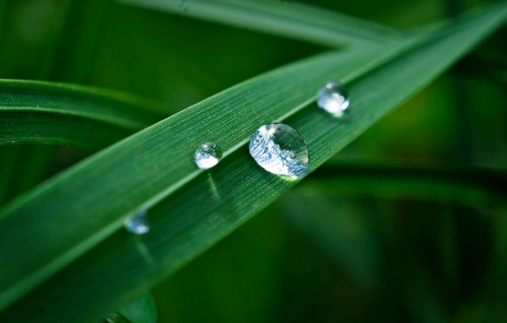 Wasser....- das "Gold" der Zukunft!