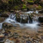 Wasser, das kostbarste Gut auf Erden