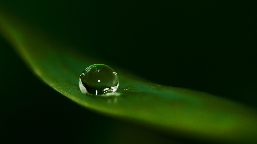 Wasser, der Stoff...