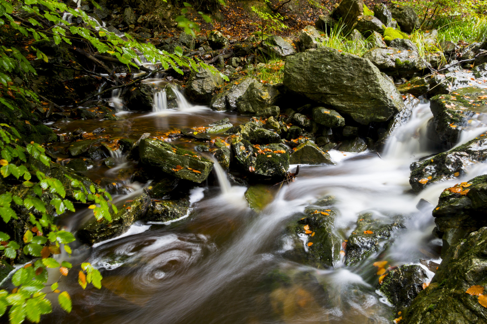 Wasser des Lebens