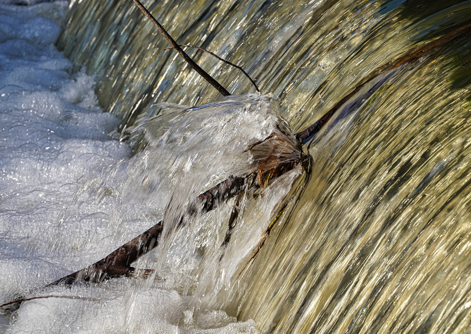 Wasser: "Die Kraft des Lebens"