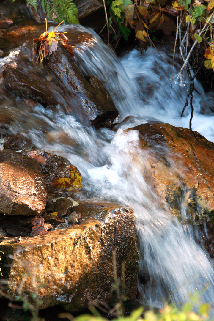 Wasser.. die Kraft des Lebens