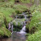 Wasser, die Quelle des Lebens