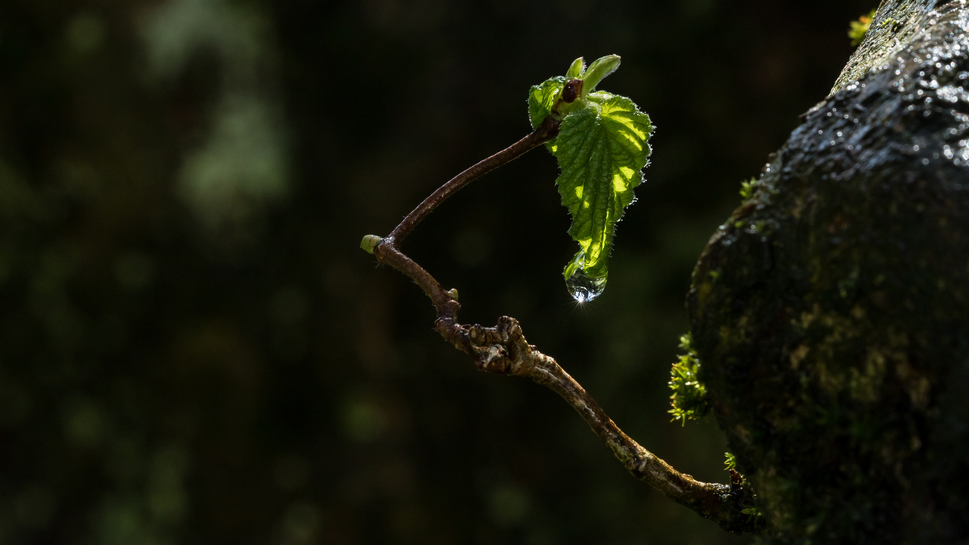 Wasser - die treibende Kraft...