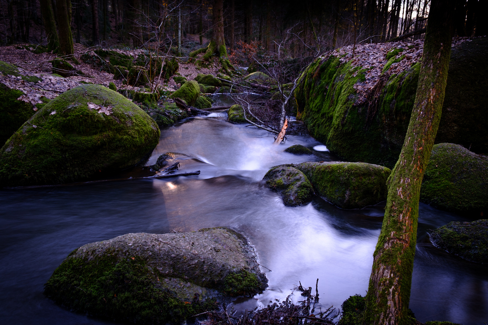 Wasser durch die Wildnis