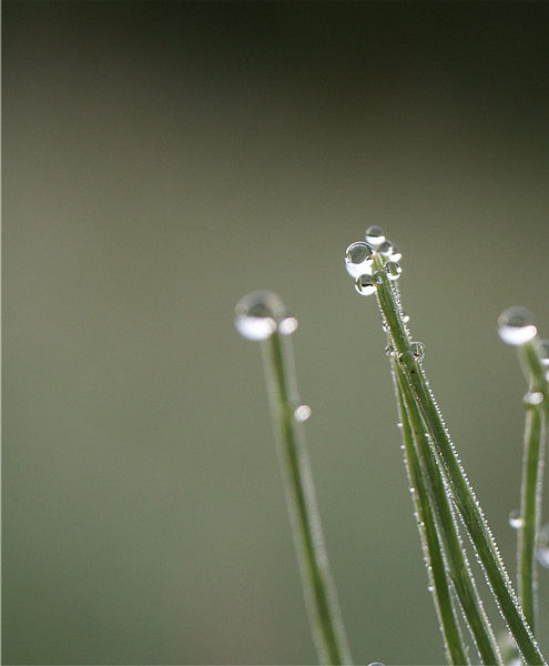 Wasser...