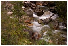 Wasser - eine knapper werdende Ressource