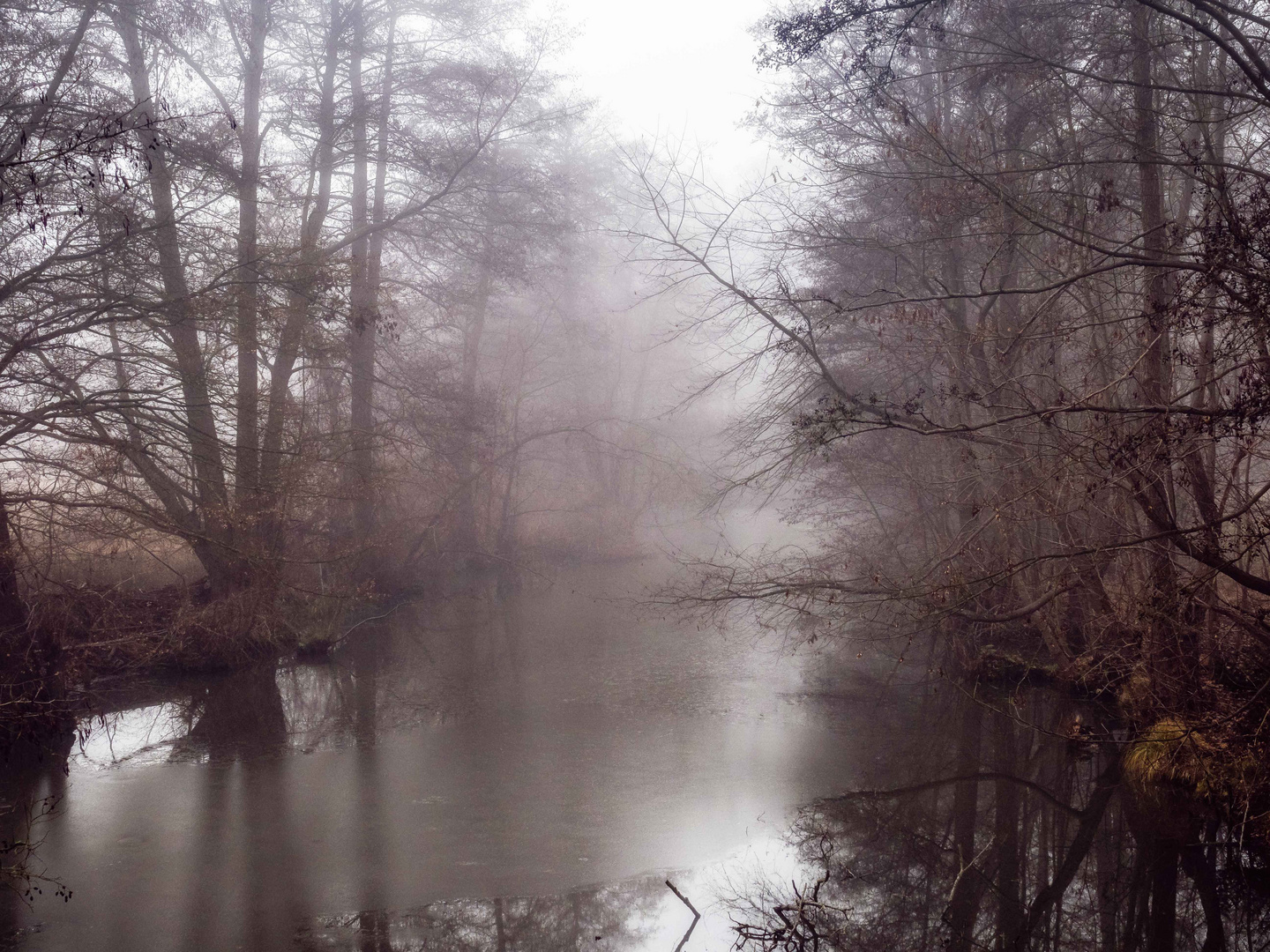 Wasser, Eis und Nebel