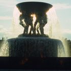 Wasser Element des Lebens! Vigeland Park Oslo!