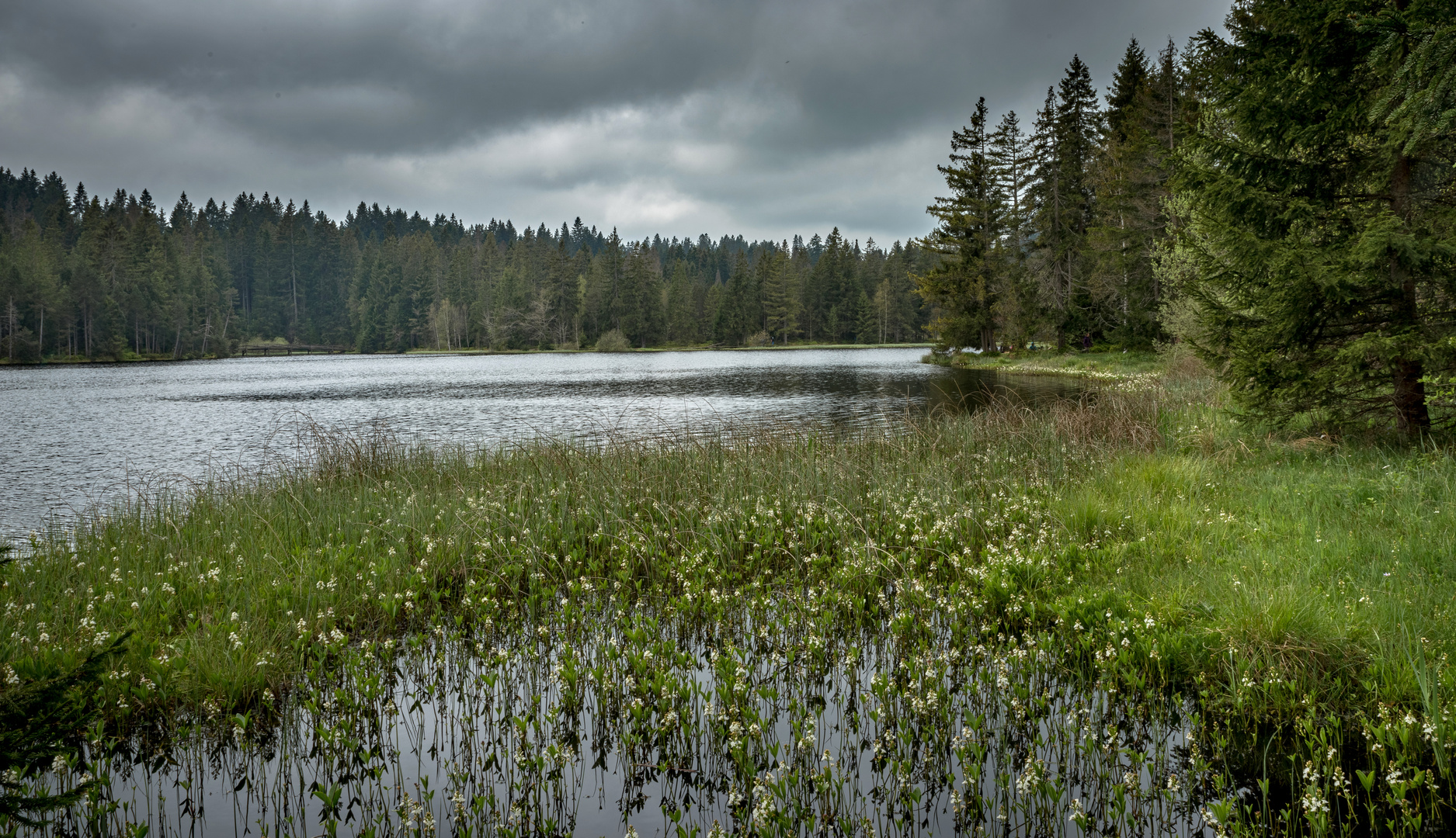 Wasser, Elixier des Lebens