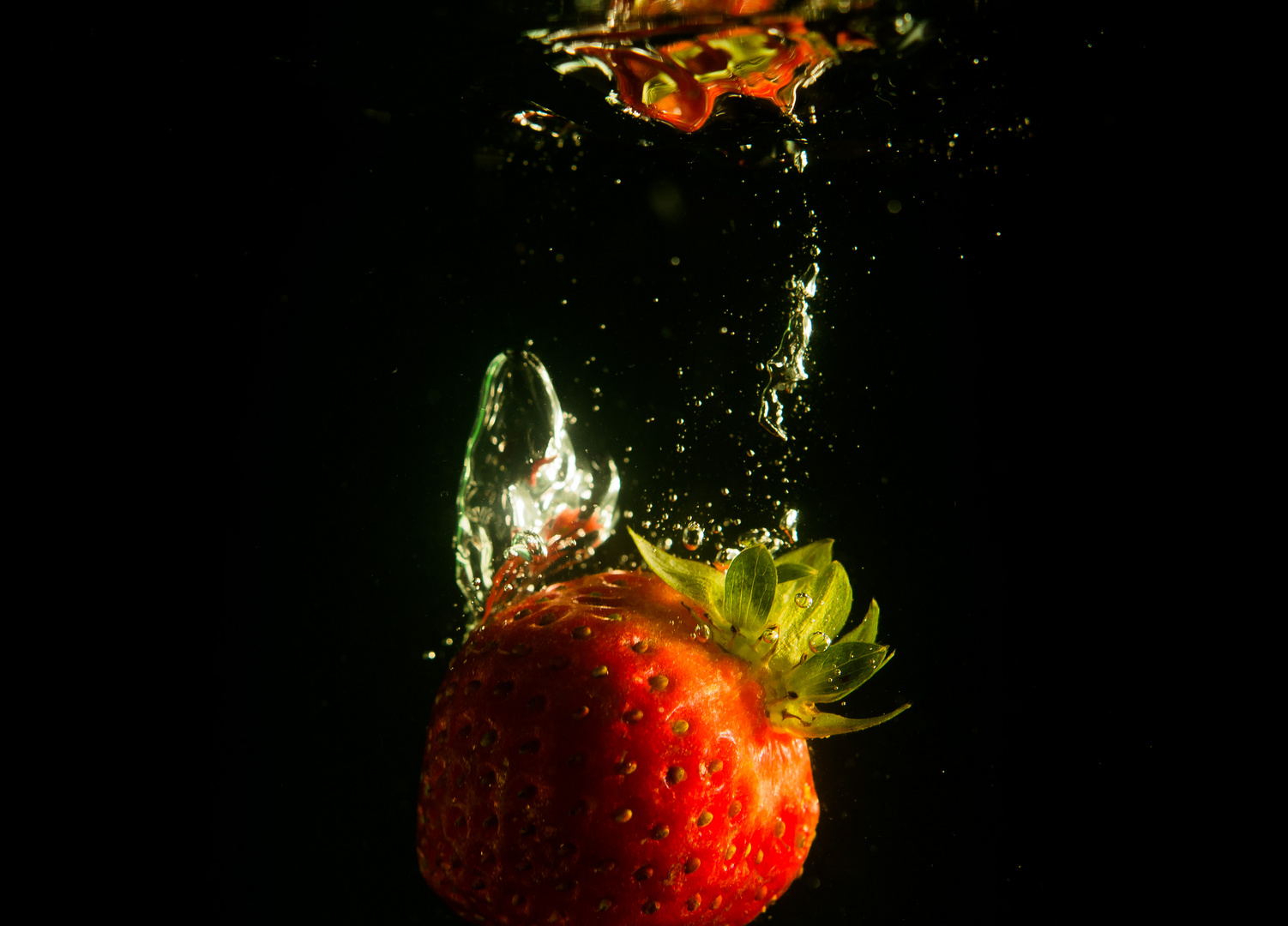 Wasser-Erdbeere