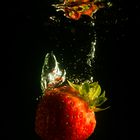 Wasser-Erdbeere