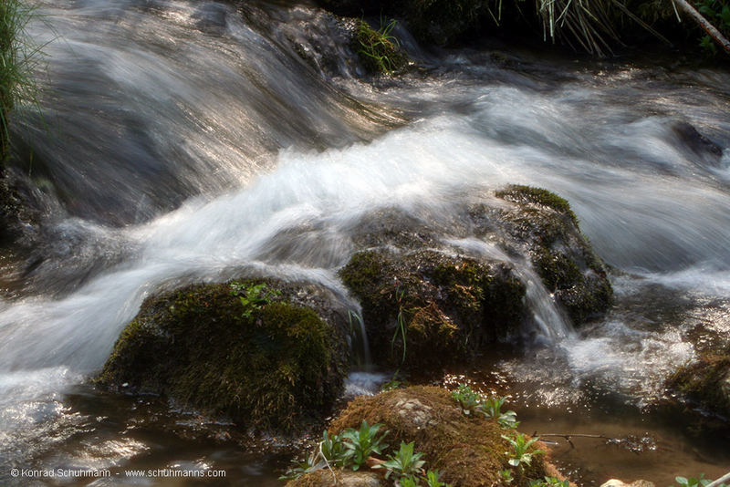 Wasser