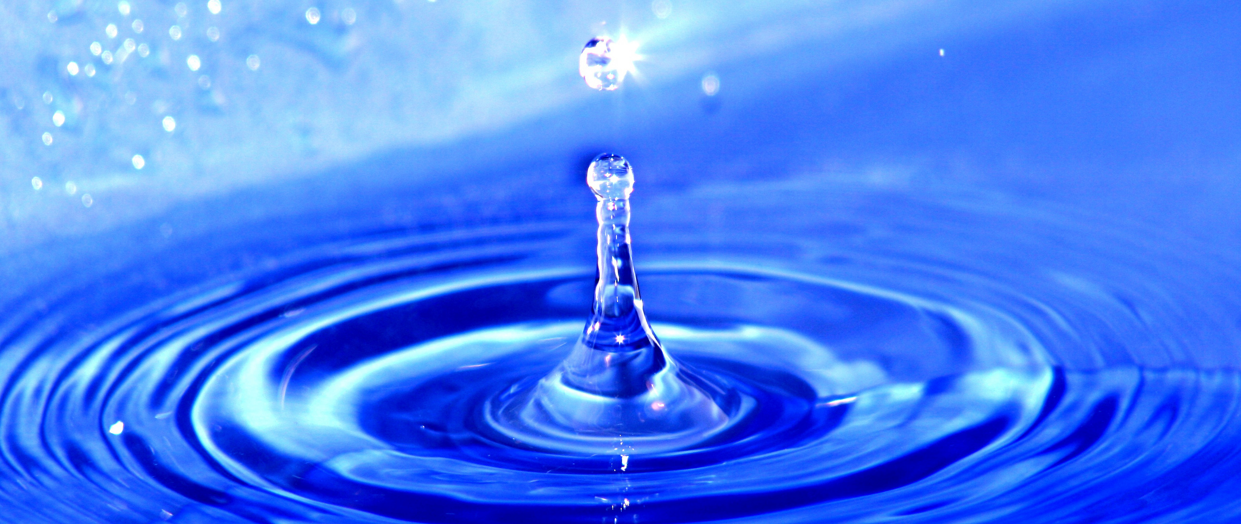 Wasser...............