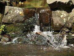 Wasser fällt immer nach .....................