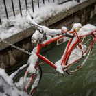 Wasser-Fahrrad