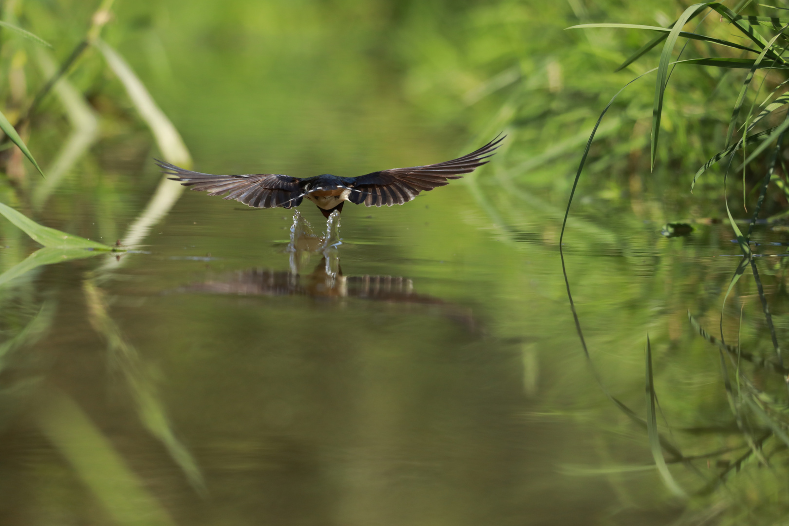 Wasser fassen