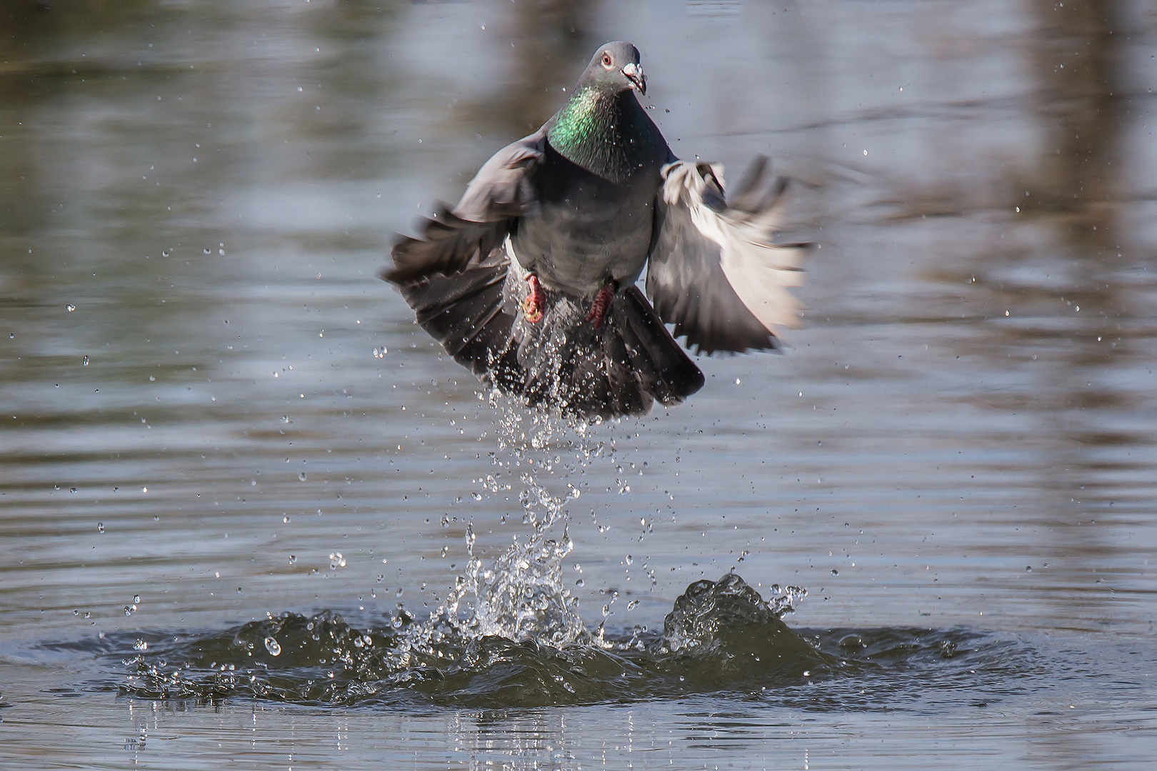 Wasser fassen