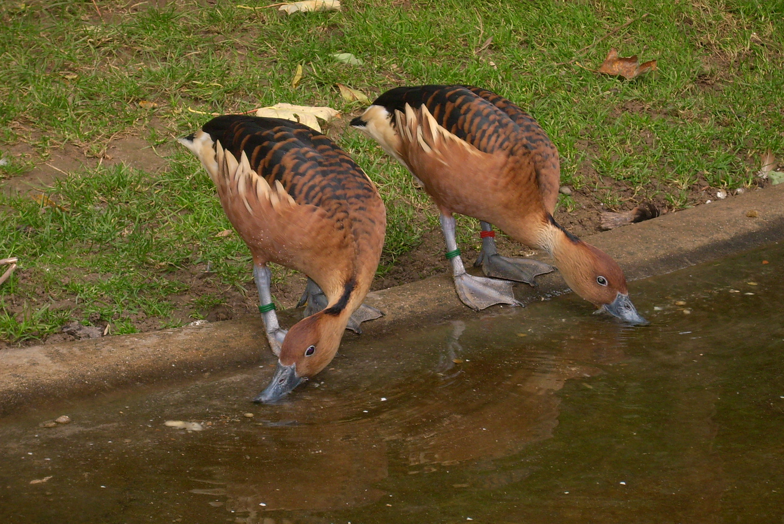 Wasser fassen.... ;o))