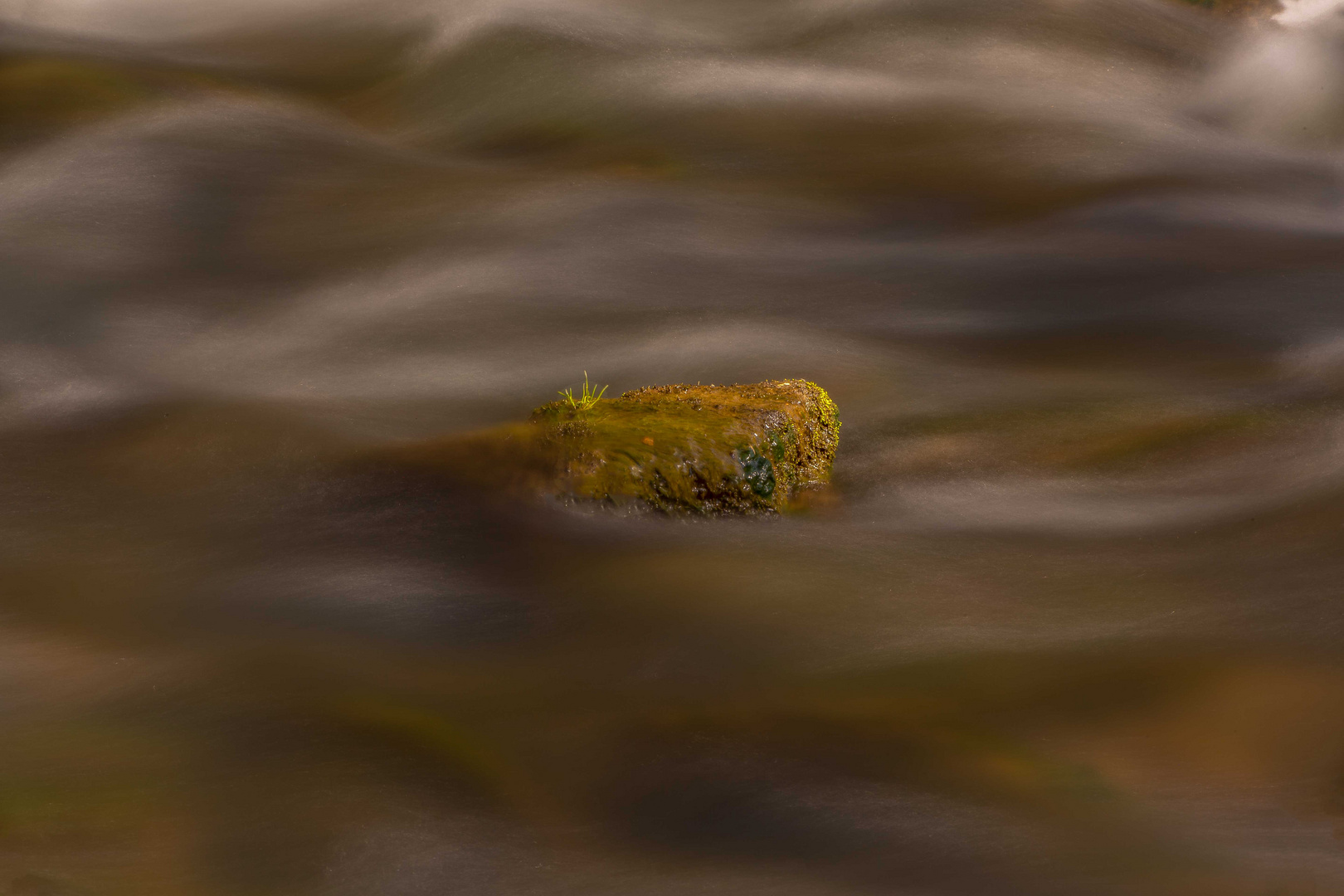 Wasser--Felsen--Gras