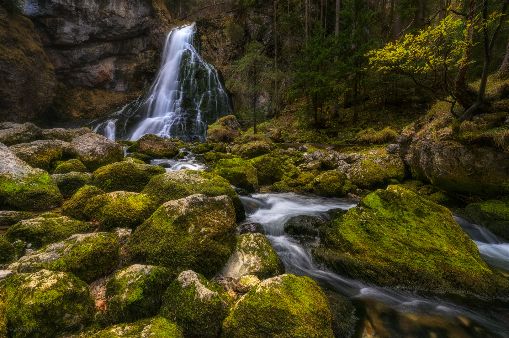 Wasser, Felsen und ein Baum