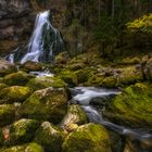 Wasser, Felsen und ein Baum