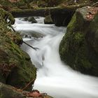 Wasser findet seinen Weg