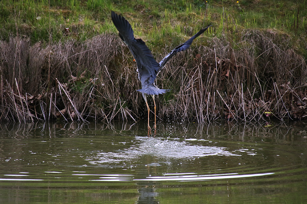 "Wasser-Flucht"