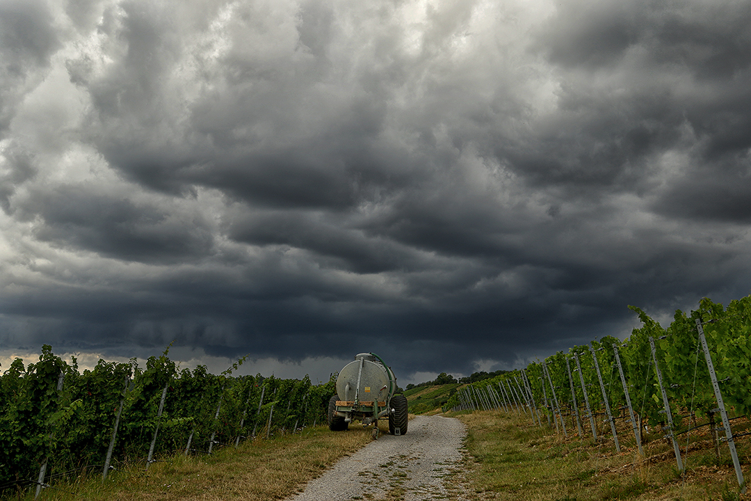 Wasser für den Wein