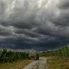 Wasser für den Wein