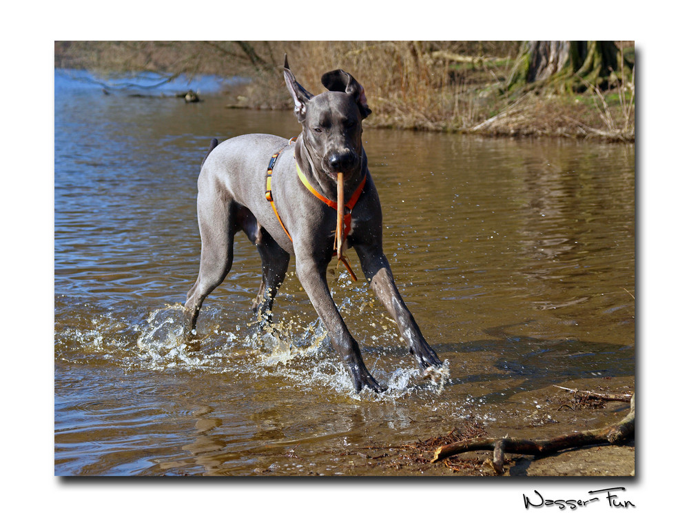 Wasser-Fun