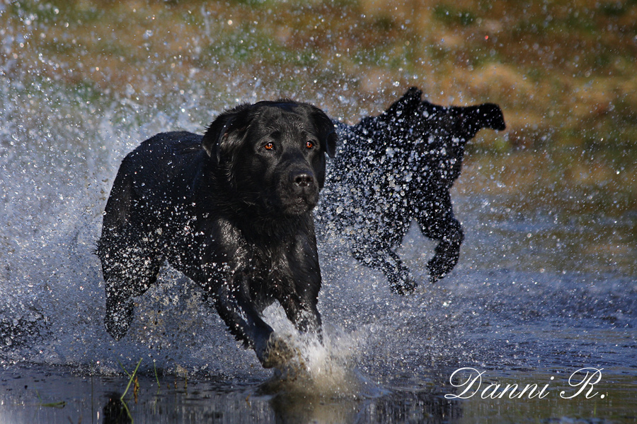 Wasser Fun