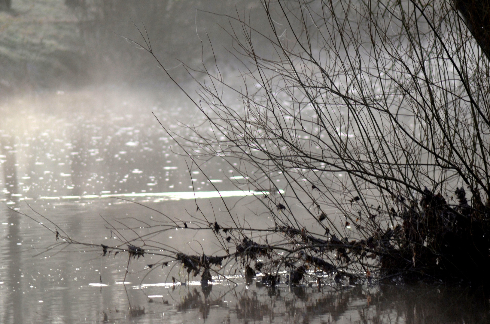 Wasser funkelt im Nebel