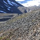 Wasser - Gletschereis - Dinosauriergestein finden?