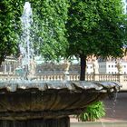 Wasser, Grün und der Zwinger