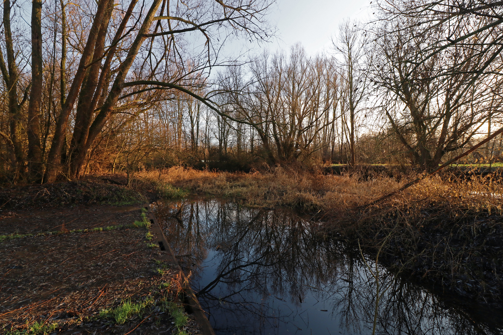 Wasser im alten Bett