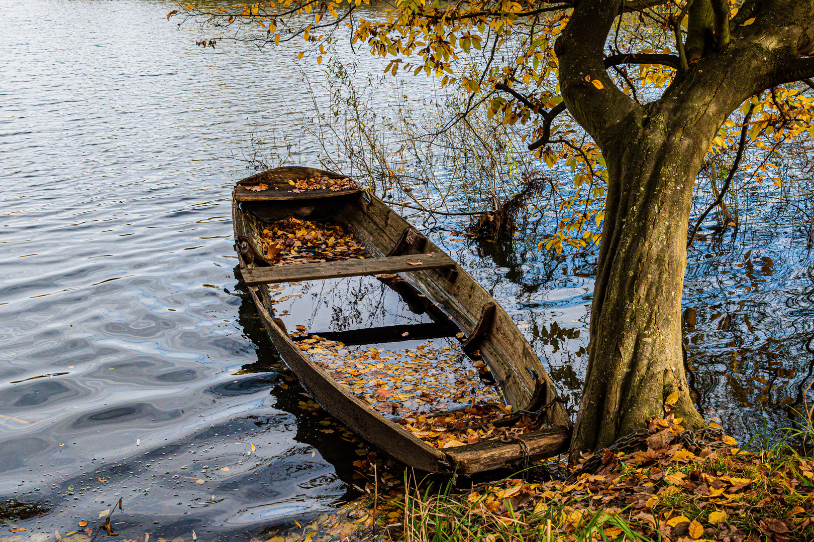 Wasser im Boot Foto & Bild landschaft, bach, fluss & see, see, teich