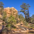 Wasser im Bryce Canyon