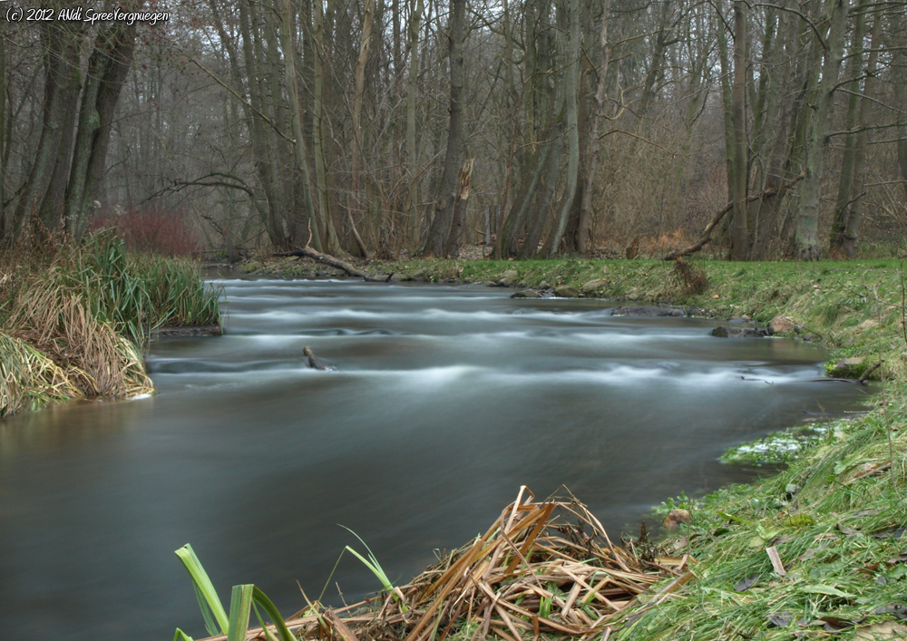 Wasser im Dezember - N° 2