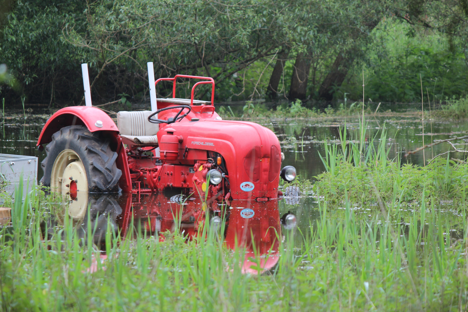 Wasser im Diesel