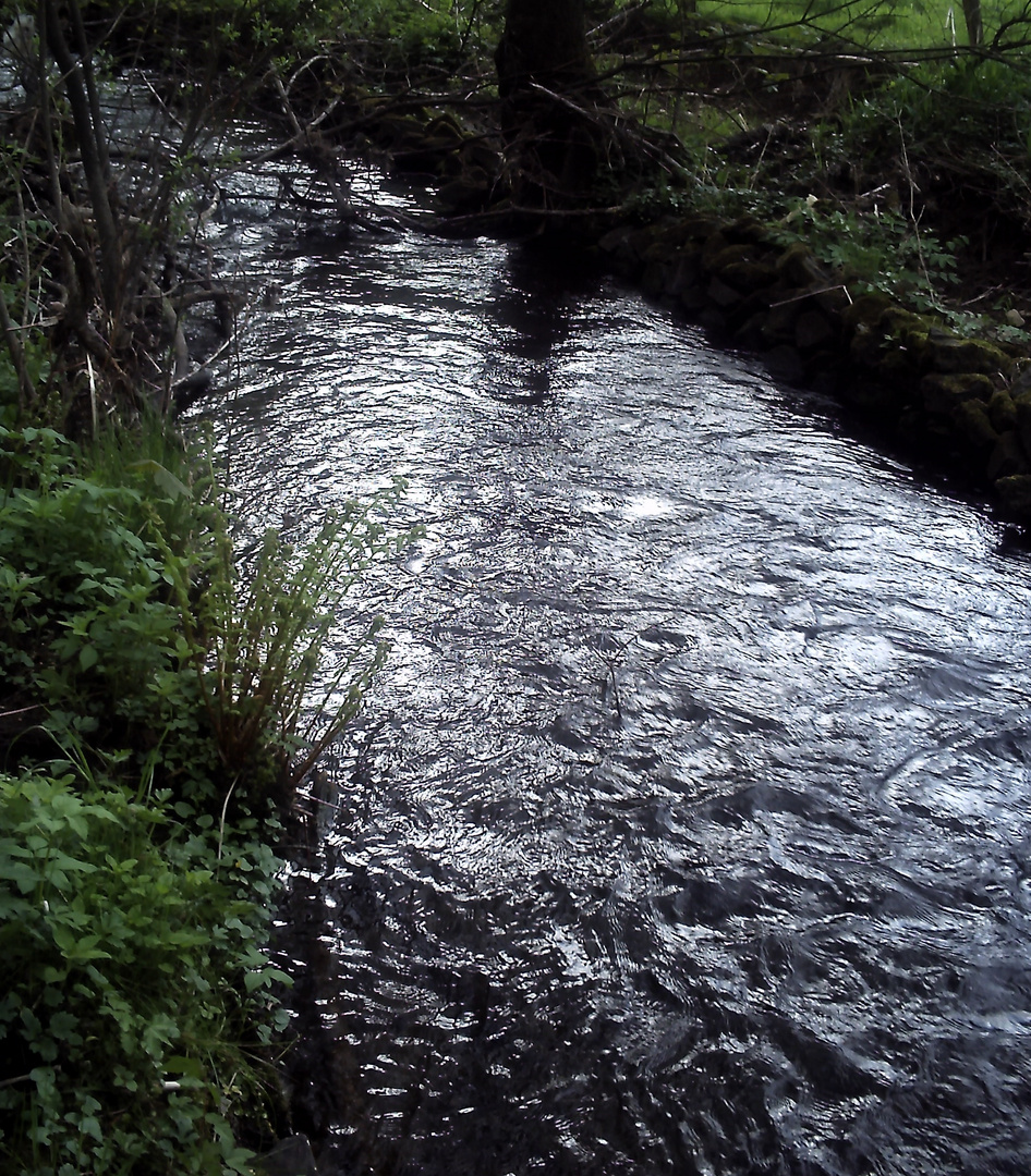 Wasser im Elfengrund