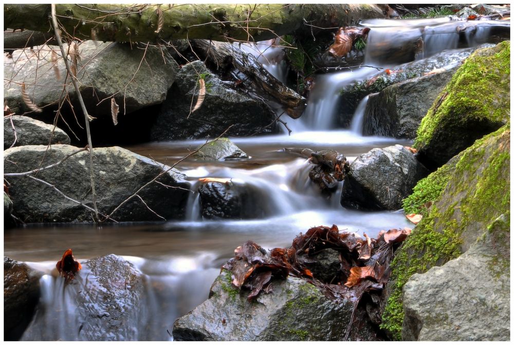 Wasser im fluss