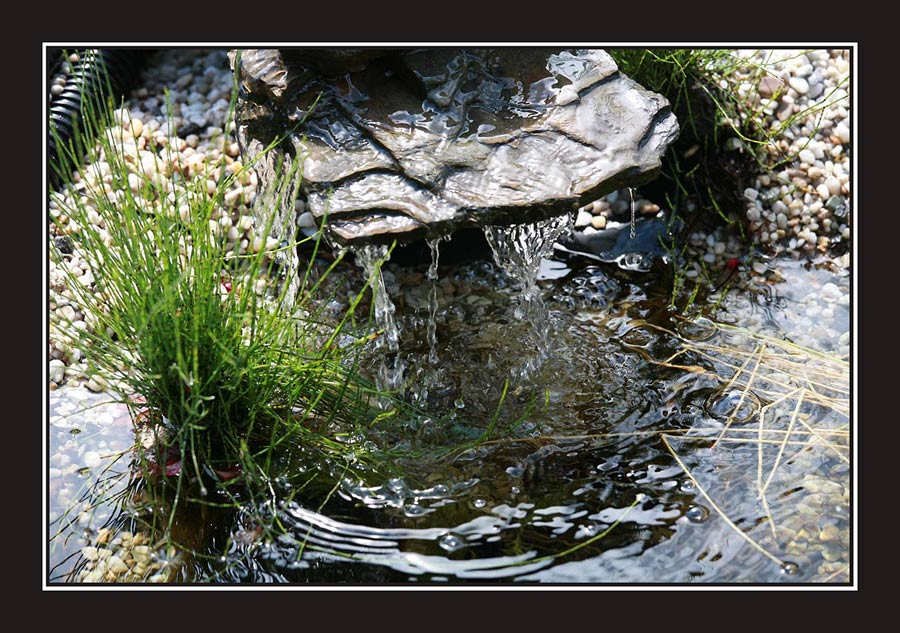 Wasser im Garten