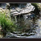 Wasser im Garten