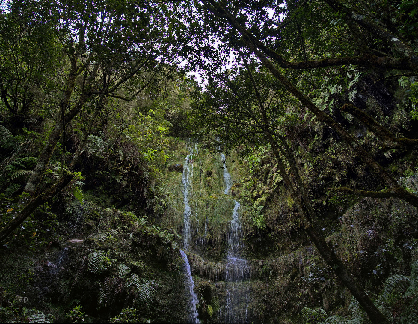 Wasser im Grün