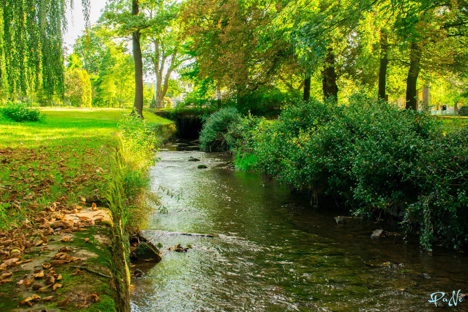 Wasser im Grünen