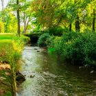 Wasser im Grünen