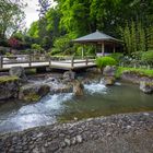 Wasser im Japangarten