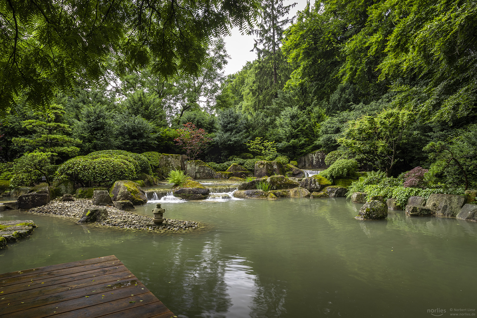 Wasser im Japangarten